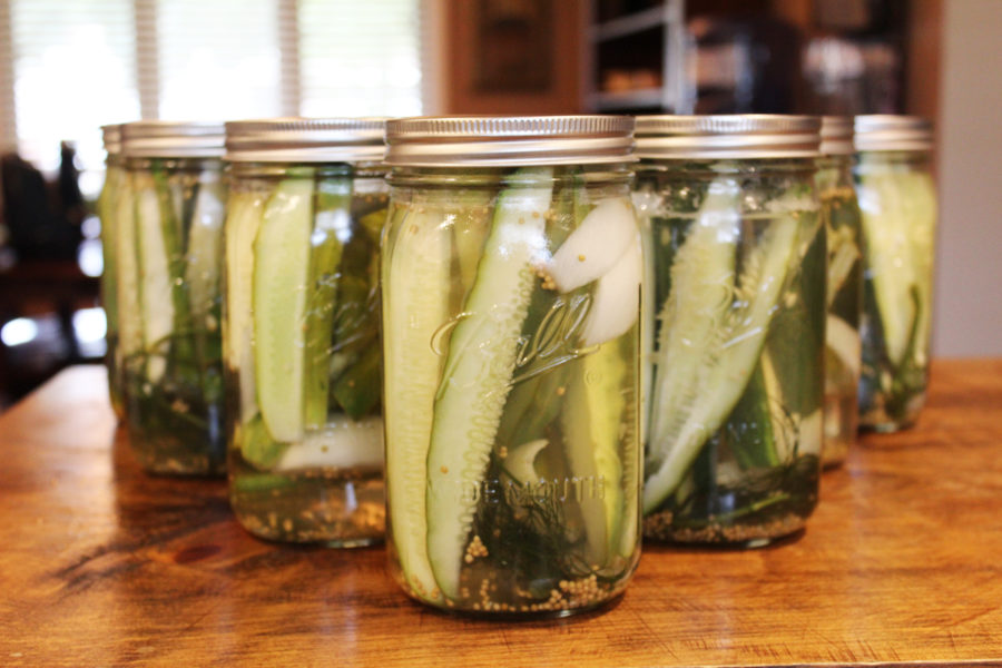 The BEST Refrigerator Pickles